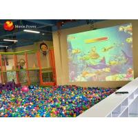 China Kids Entertainment Interactive Projector Children Theme Park Ball Pool Zorbing Ball Gaming Equipment factory