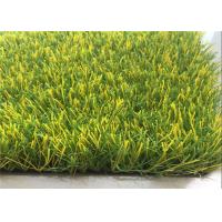 China 7000d Patio Outdoor Artificial Turf Rugs For Dogs Canola Flowers Canola Yellow  Colors for sale