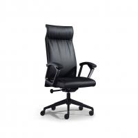 China Sterling Reclining Posture Executive Leather Office Chair Black Custom for sale