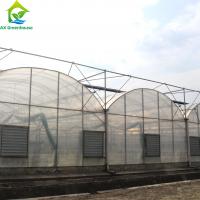 Quality Large Clear Plastic Sheeting Greenhouse 4m-7.5m Height Galvanized Steel Greenhouse for sale