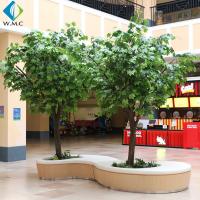 China Indoor Decoration Artificial Tree Plant , Artificial Chinese Phoenix Tree factory