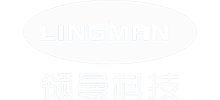 China Lingman Machinery Technology (Changzhou) Co., Ltd. logo