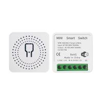 Quality Tuya Alexa Timer Smart Switch 10A 16A Relay Module Work Home Remote Smart Switch for sale