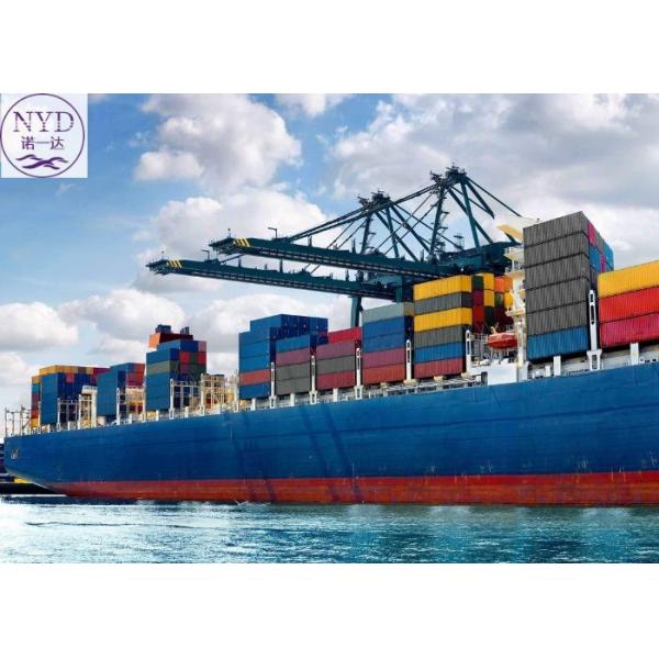 Quality CIF International Sea Freight Services FCL DDU DDP With Documentation for sale