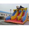 China Eagle Large Inflatable Slide , Commercial Inflatable Water Slides For Adults factory