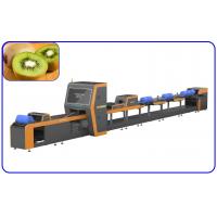 China Kiwi Intelligent Fruit Sorting Equipment 380V 1 Channel Computer Control factory