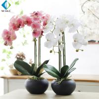 China 63cm Height Artificial Potted Plants , Fake Phalaenopsis Orchid 5-10 Years Life Time factory