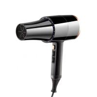China ODM Electric Plastic Hair Salon Blow Dryer With Ionic Function factory