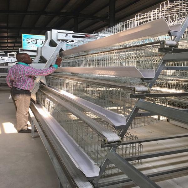 Quality 20000 Birds Layer Poultry Equipment , SGS 3mm A Frame Layer Cages for sale