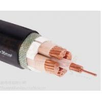 Quality Indoor Power Black XLPE PVC Armoured Cable 1000m With Multi Conductor for sale