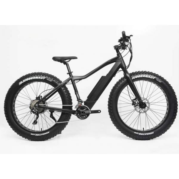 Quality 26 Inch Electric Assist Fat Bike Disc Brake 48V 500W 30 Speed Alloy Frame for sale