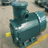 China Waterproof Three Phase 50 60HZ Mill Crusher Electric Motor Mining Machine Spare Parts factory