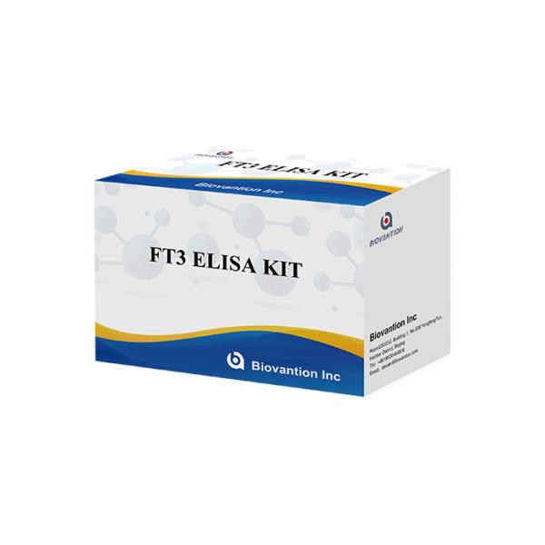 Quality FT3 Elisa Test Kit 110 Minutes Free Triiodothyronine T3 Free Blood Test for sale