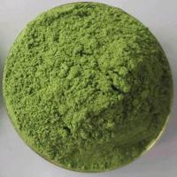 China Natural 100% pure Green Oat Grass Powder for Health Food Real Manufacturer factory
