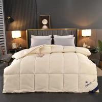 China Home 100% Polyester Thickened Warm 5 Star Hilton Hotel Textile Filling Quilt Duvet Bedding factory