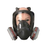 China Gas mask painting, decoration, dust-proof, double filter box, head half mask, full cover factory