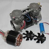 Quality 5L Oxygen Concentrator Compressor 220V 50Hz 350W Oilless Air Compressor Motor for sale
