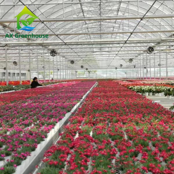 Quality Hot Dip Galvanized Steel Plastic Film Greenhouse 3-8m Gutter Four Seasons for sale
