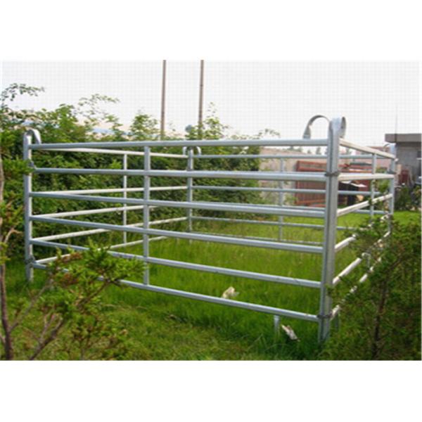 Quality Steel Farm Gate Fence For Horse / Sheep / Cattle Animals Easily Assembled for sale