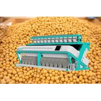 China High Yield Grain Soybean Sorting Machine 99.99% Accuracy factory