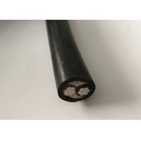 China XLPE Insulation 2 Core Low Voltage Cable Fire Resistant 25mm 2 Core Armoured Cable factory