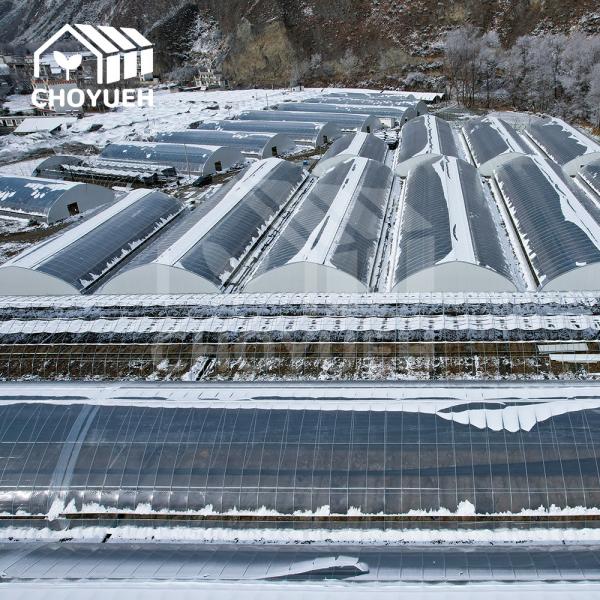 Quality 4mm Glass Greenhouse Utilizing Solar Heat For Optimal Light Transmission for sale