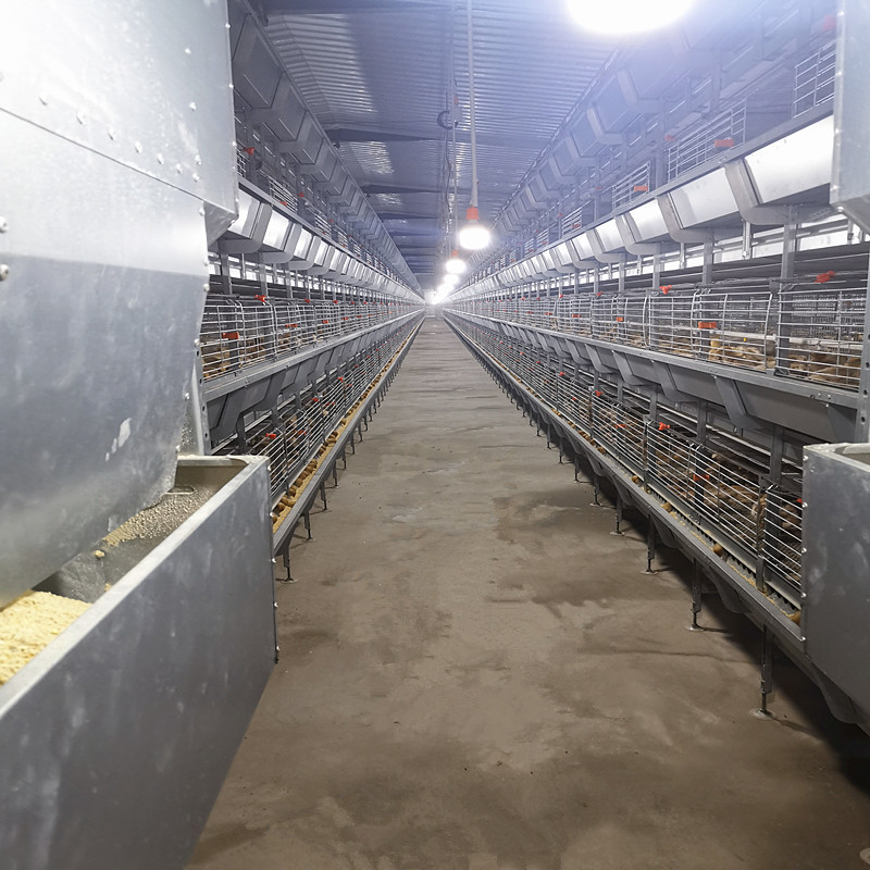 China Q235 HDG Broiler Equipment H Type 1.0mm Meat Chicken Cage for sale