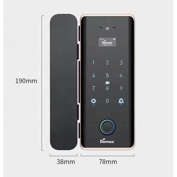 Quality Office Tuya App Door Lock Wireless Biometric High Security Password Glass Door for sale