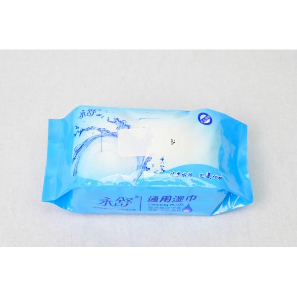 Quality 80 Pump Wet Toilet Paper Wipes 99.9% Bacteria Eradication Skin Friendly Cleaning for sale