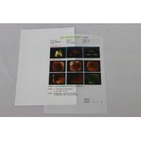Quality 8x10 Inch 14x17 Inch Medical X Ray Film MRI PET CT Scan Films for sale
