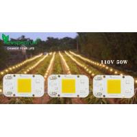 Quality AC110V AC LED Module COB Chip No Need Driver For Greenhouse Lights for sale