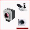 China 5MP USB Digital Microscope Camera, Eyepiece Camera factory