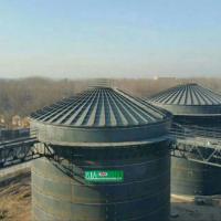China EGSB Biogas Plant Project Domestic Anaerobic Biogas Digester System factory
