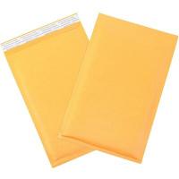 China Recyclable Envelope Protective Mailing Bag Weight Capacity 2.5 Lbs factory