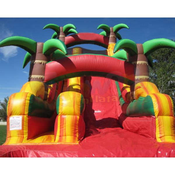 Quality Multicolor Amusement Pool Full Printing Inflatable Water Slide for sale