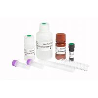 Quality Solid Phase BAPNA Method Sperm Function Test Kit For Spermatozoa Acrosin for sale