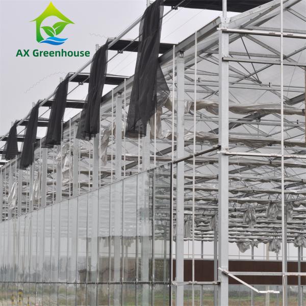 Quality 12m Width Agricultural Glass Greenhouse Residential Hydroponic Strawberry for sale