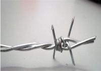 China 12x12 Single Twisted Galvanized Razor Barbed Wire factory