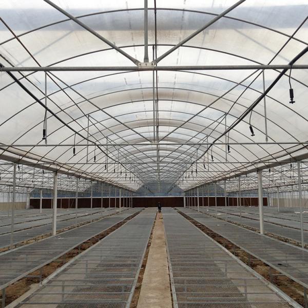 Quality Long Life Span Heavy Duty Plastic Greenhouse High Large Size Available for sale