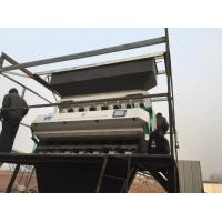 Quality 7 Chutes Buckwheat Color Sorter 448 Channels Automatic Colour Sorting Machine for sale