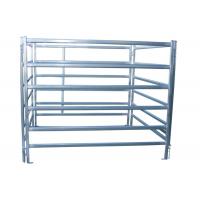Quality Feedlot Horse Corral Panels With Gates Clamps Connectors Safety Guarantee for sale