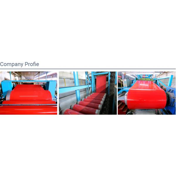 Quality Custom Prepainted Steel Coil 0.12mm-6.0mm Pre Painted Galvanized Steel Sheet for sale