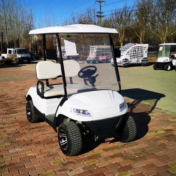 Quality 48 Volt Electric 2 Seater Golf Cart Buggies white All Wheel Drive for sale