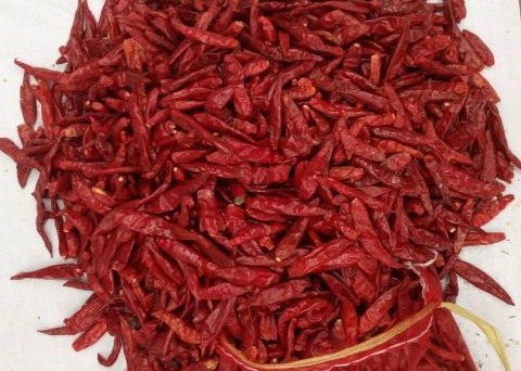 Quality NO Pigment Spicy Dried Chiles Steam Sterilized Chili Pods For Tamales for sale