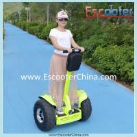 China electric chariot, 2 wheel electric self balance scooter, personal vehicle,ESOII factory