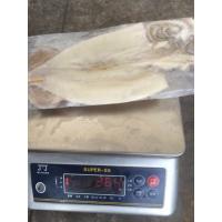 China Natural Color 200G 300G Whole Round BQF Frozen Illex Squid factory