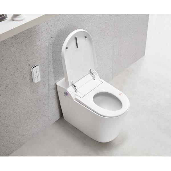 Quality Bathroom Smart Wc Seat Ceramic One Piece S trap Water Temperature Adjustment for sale