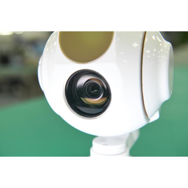 Quality 100mb IP Output Gimbal Thermal Camera UAV Payload Support Target Postion for sale
