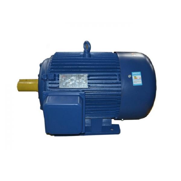 Quality Premium Efficiency 3 Phase Asynchronous Electric Motor With High Starting Torque for sale