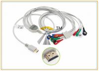 China Snap 10 Lead Patient ECG Electrode Cable AHA Standard Biox Holter Compatible factory